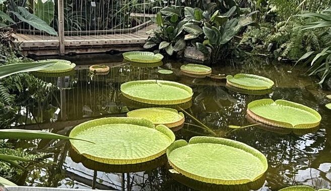 Regionales Netzwerktreffen via Zoom